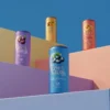 Fruit Fusion Blueberry